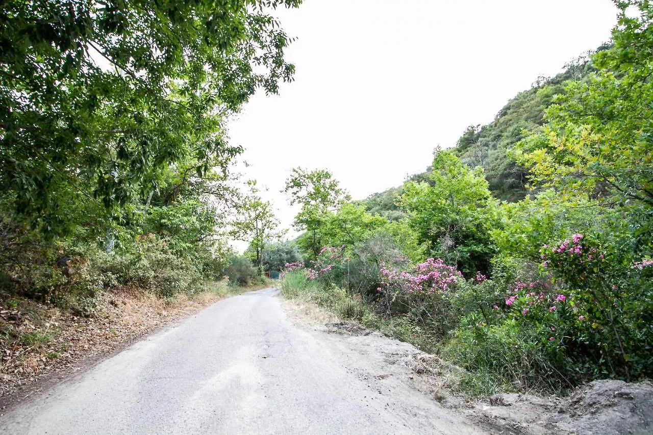 Le Muse Country House - Gole Alcantara Motta Camastra 0*,