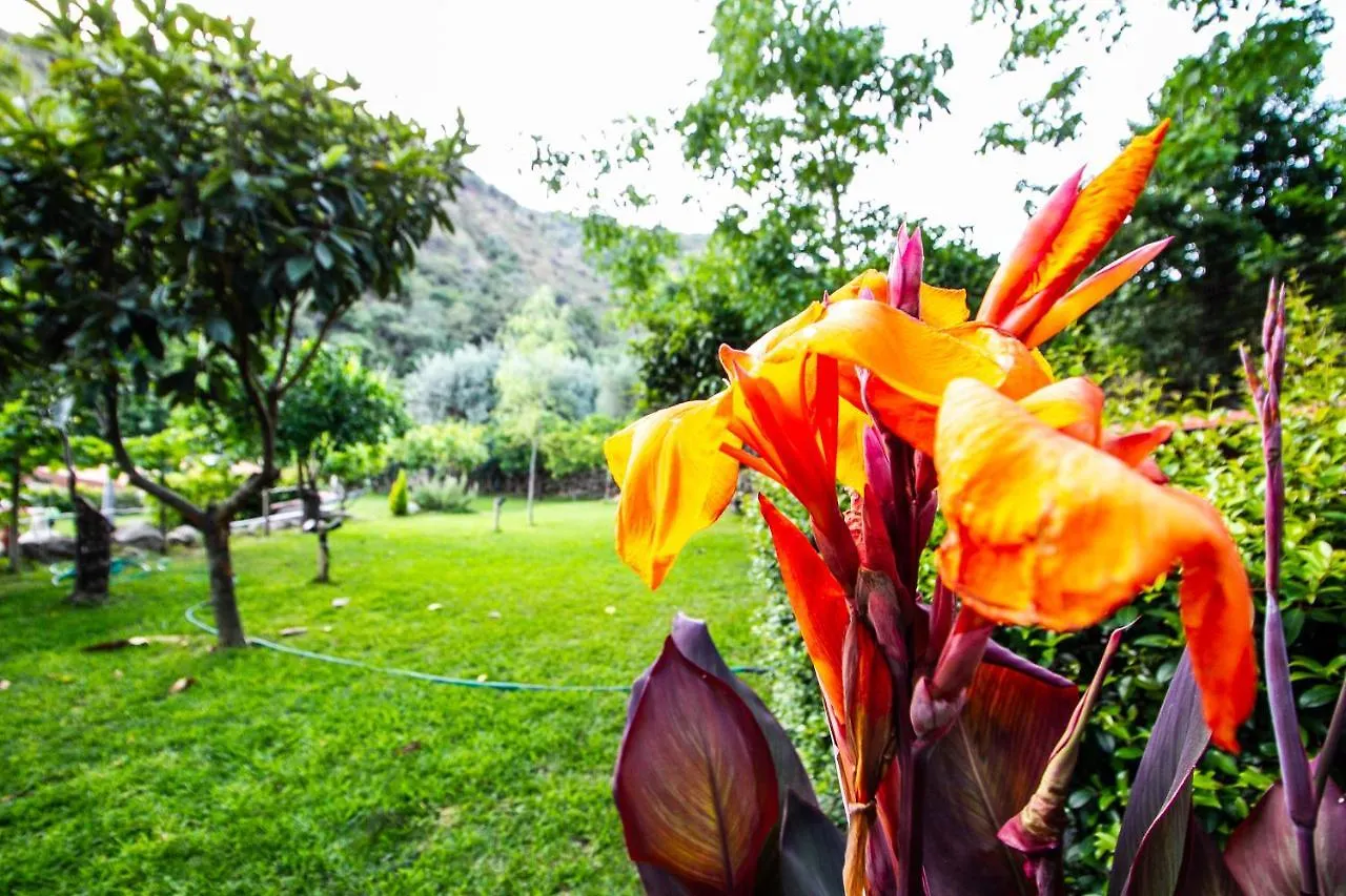 Le Muse Country House - Gole Alcantara Motta Camastra Lodge